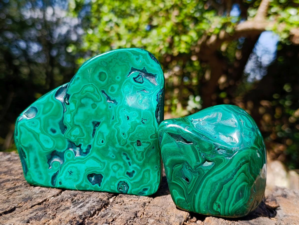 Polished Flower Banded Malachite Free Forms x 4 From Congo - Toprock Gemstones and Minerals 