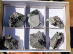 Natural Libethenite Crystals on Dolomite Matrix Specimens x 6 From Shituru, Congo - Toprock Gemstones and Minerals 