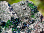 Natural Libethenite Crystals on Dolomite Matrix Specimens x 6 From Shituru, Congo - Toprock Gemstones and Minerals 