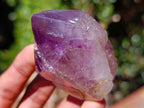 Polished Smokey Window Amethyst Crystals x 6 From Akansobe, Madagascar - Toprock Gemstones and Minerals 