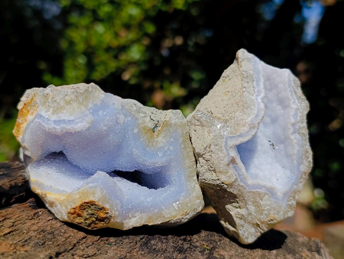 Natural Blue Lace Agate Geode Specimens x 12 From Nsanje, Malawi - Toprock Gemstones and Minerals 
