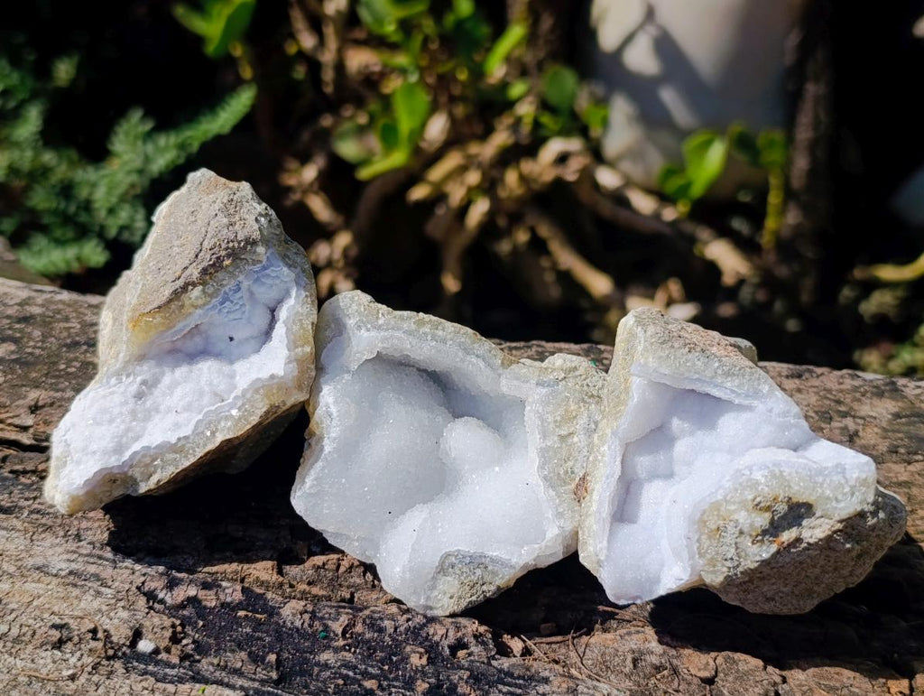 Natural Blue Lace Agate Geode Specimens x 12 From Nsanje, Malawi - Toprock Gemstones and Minerals 