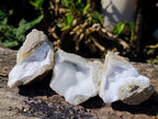 Natural Blue Lace Agate Geode Specimens x 12 From Nsanje, Malawi - Toprock Gemstones and Minerals 