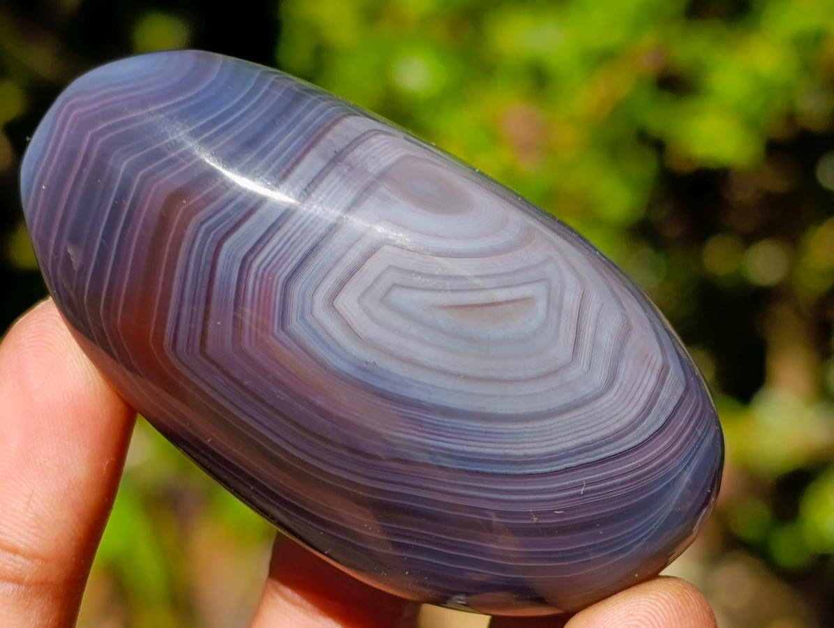 Polished One Side Red Shashe River Agate Nodules x 24 From Shashe River, Zimbabwe - Toprock Gemstones and Minerals 