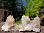 Natural Smokey Fairy Spirit Quartz Clusters with Hematoid Coating x 35 From Boekenhouthoek, South Africa - Toprock Gemstones and Minerals 