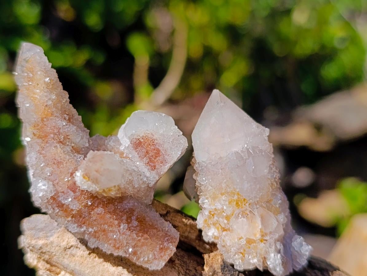 Natural Smokey Fairy Spirit Quartz Clusters with Hematoid Coating x 35 From Boekenhouthoek, South Africa - Toprock Gemstones and Minerals 