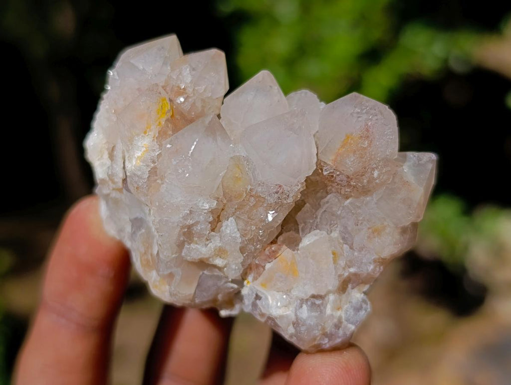 Natural Smokey Fairy Spirit Quartz Clusters with Hematoid Coating x 35 From Boekenhouthoek, South Africa - Toprock Gemstones and Minerals 