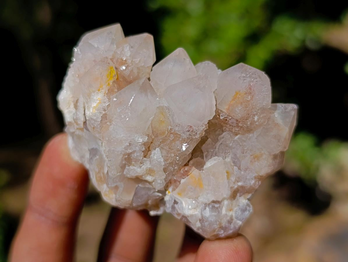Natural Smokey Fairy Spirit Quartz Clusters with Hematoid Coating x 35 From Boekenhouthoek, South Africa - Toprock Gemstones and Minerals 