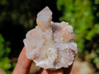 Natural Smokey Fairy Spirit Quartz Clusters with Hematoid Coating x 35 From Boekenhouthoek, South Africa - Toprock Gemstones and Minerals 