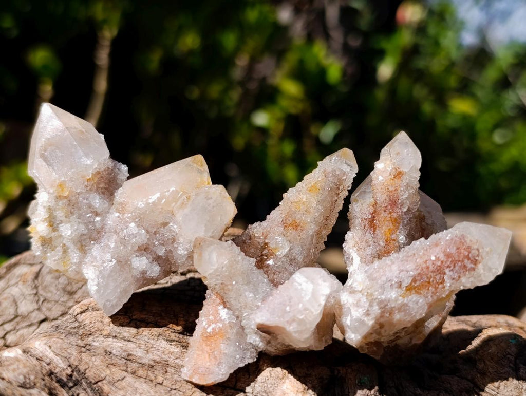 Natural Smokey Fairy Spirit Quartz Clusters with Hematoid Coating x 35 From Boekenhouthoek, South Africa - Toprock Gemstones and Minerals 