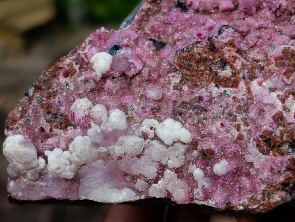 Natural Salrose Cobaltoan Dolomite Specimens with Associated Minerals x 4 From Kakanda, Congo - Toprock Gemstones and Minerals 