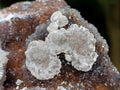 Natural Salrose Cobaltoan Dolomite Specimens with Associated Minerals x 4 From Kakanda, Congo - Toprock Gemstones and Minerals 