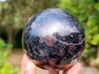 Polished Blue Iolite "Water Sapphire" Spheres x 2 From Madagascar - Toprock Gemstones and Minerals 
