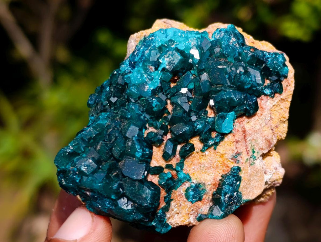 Natural Dioptase on Dolomite Specimens x 6 From Likasi, Congo - Toprock Gemstones and Minerals 