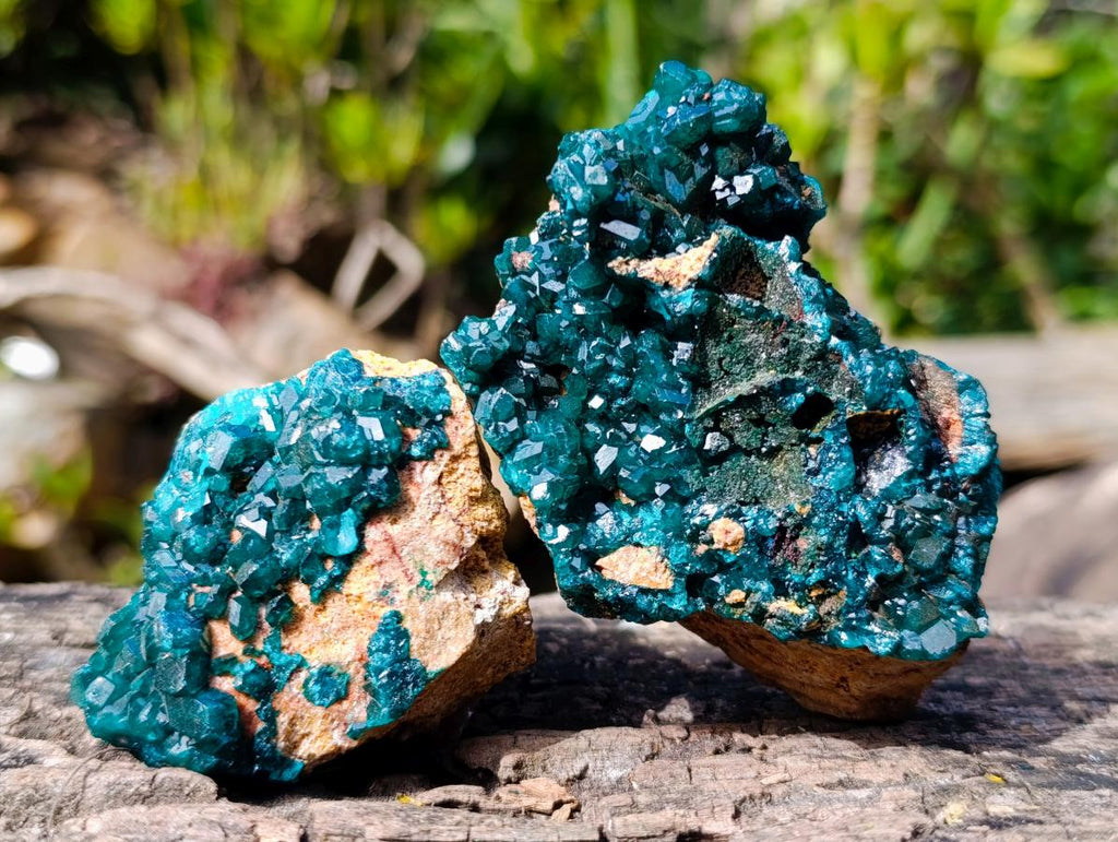Natural Dioptase on Dolomite Specimens x 6 From Likasi, Congo - Toprock Gemstones and Minerals 