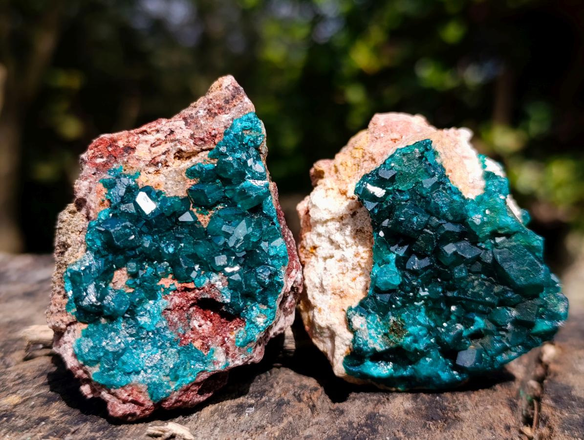 Natural Dioptase on Dolomite Specimens x 6 From Likasi, Congo - Toprock Gemstones and Minerals 