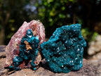Natural Dioptase on Dolomite Specimens x 6 From Likasi, Congo - Toprock Gemstones and Minerals 