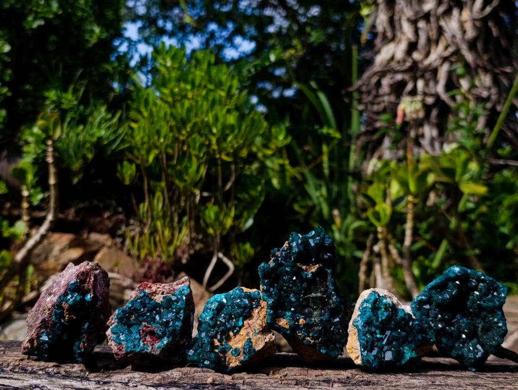 Natural Dioptase on Dolomite Specimens x 6 From Likasi, Congo - Toprock Gemstones and Minerals 