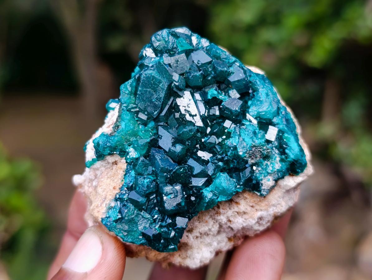 Natural Dioptase on Dolomite Specimens x 6 From Likasi, Congo - Toprock Gemstones and Minerals 