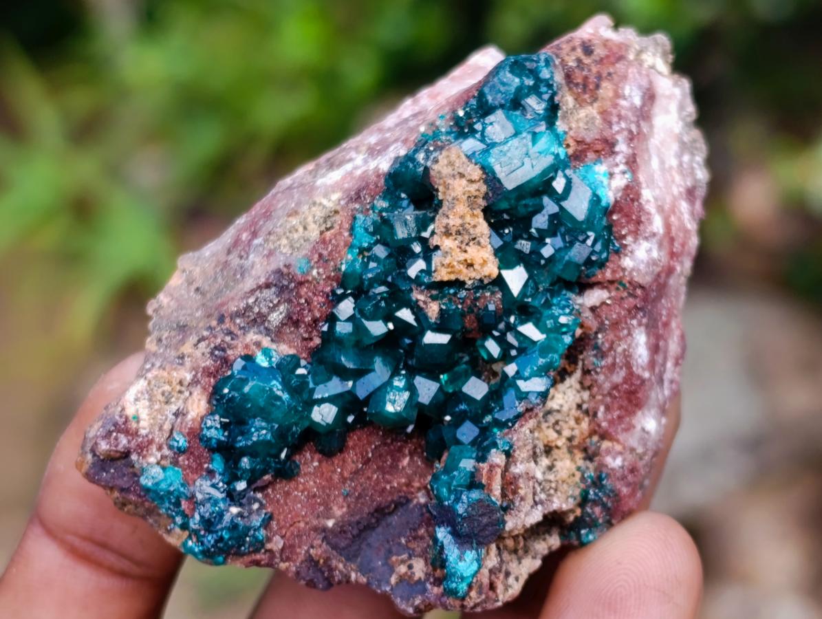 Natural Dioptase on Dolomite Specimens x 6 From Likasi, Congo - Toprock Gemstones and Minerals 