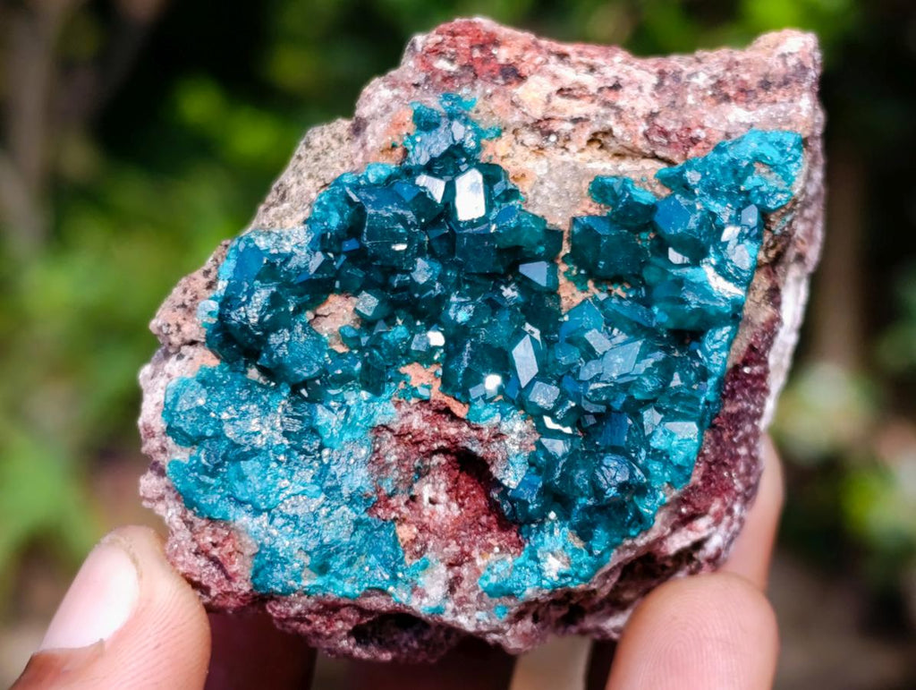 Natural Dioptase on Dolomite Specimens x 6 From Likasi, Congo - Toprock Gemstones and Minerals 