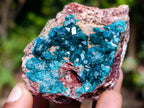 Natural Dioptase on Dolomite Specimens x 6 From Likasi, Congo - Toprock Gemstones and Minerals 