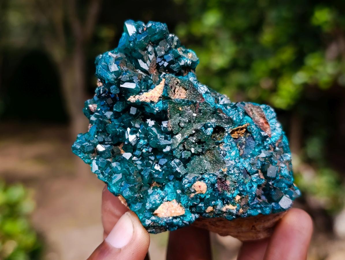 Natural Dioptase on Dolomite Specimens x 6 From Likasi, Congo - Toprock Gemstones and Minerals 