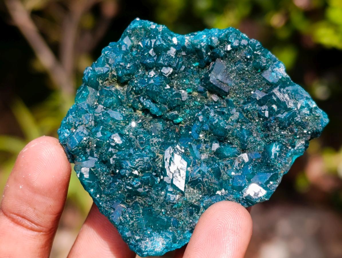 Natural Dioptase on Dolomite Specimens x 6 From Likasi, Congo - Toprock Gemstones and Minerals 