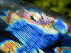 Polished Labradorite Standing Display Pieces x 3 From Madagascar - Toprock Gemstones and Minerals 