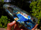 Polished Labradorite Standing Display Pieces x 3 From Madagascar - Toprock Gemstones and Minerals 