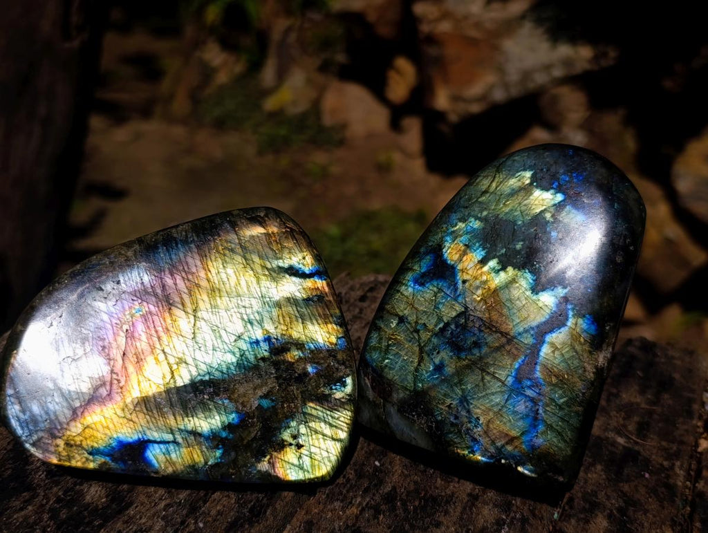 Polished Labradorite Standing Display Pieces x 3 From Madagascar - Toprock Gemstones and Minerals 