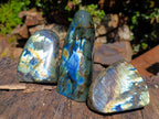 Polished Labradorite Standing Display Pieces x 3 From Madagascar - Toprock Gemstones and Minerals 