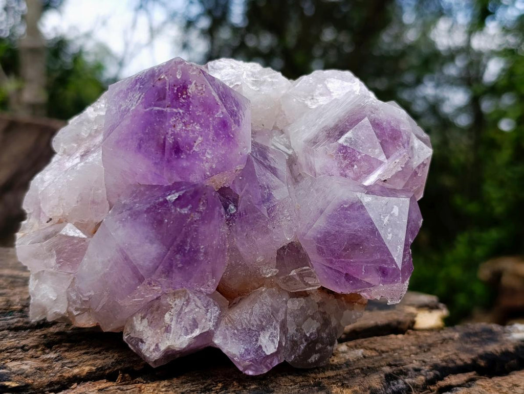 Natural Jacaranda Amethyst Clusters x 2 From Mumbwa, Zambia - Toprock Gemstones and Minerals 