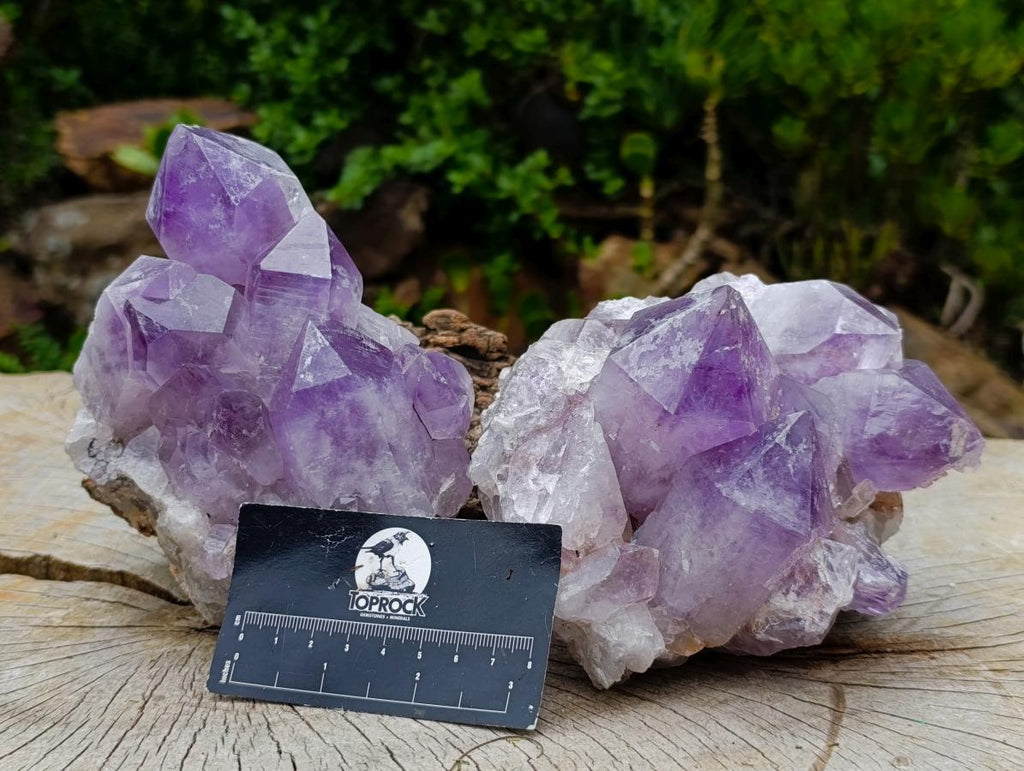 Natural Jacaranda Amethyst Clusters x 2 From Mumbwa, Zambia - Toprock Gemstones and Minerals 