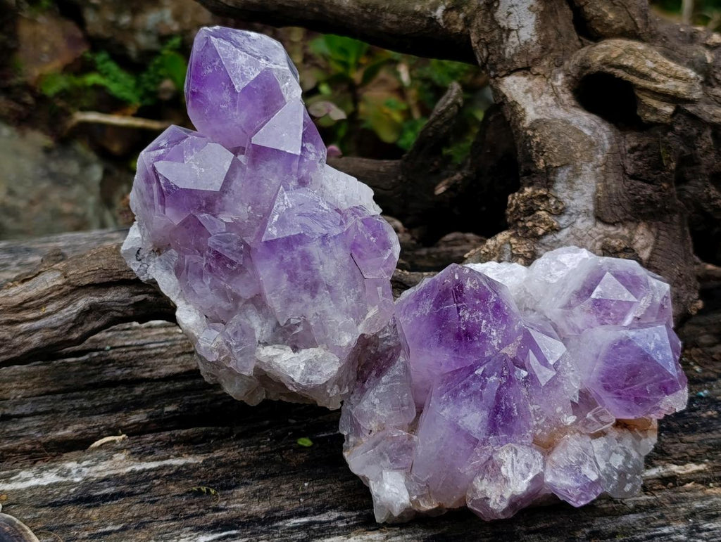 Natural Jacaranda Amethyst Clusters x 2 From Mumbwa, Zambia - Toprock Gemstones and Minerals 