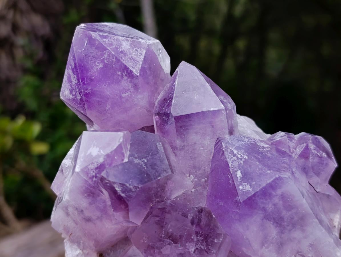 Natural Jacaranda Amethyst Clusters x 2 From Mumbwa, Zambia - Toprock Gemstones and Minerals 