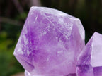 Natural Jacaranda Amethyst Clusters x 2 From Mumbwa, Zambia - Toprock Gemstones and Minerals 
