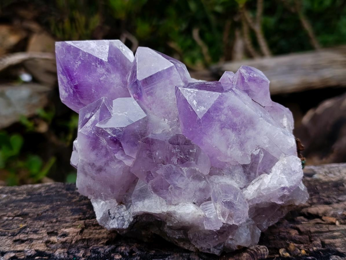 Natural Jacaranda Amethyst Clusters x 2 From Mumbwa, Zambia - Toprock Gemstones and Minerals 