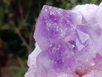 Natural Jacaranda Amethyst Clusters x 2 From Mumbwa, Zambia - Toprock Gemstones and Minerals 