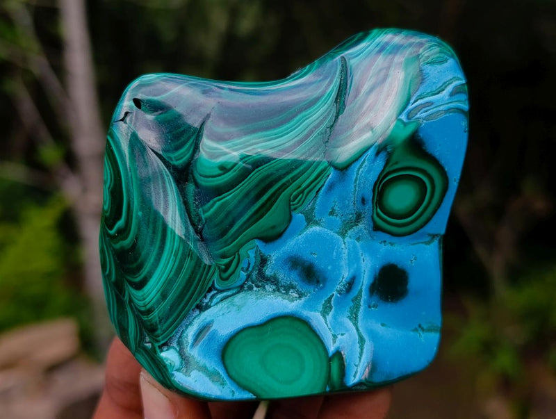 Polished Malacolla Free Forms x 6 From Kulukuluku, Congo - Toprock Gemstones and Minerals 