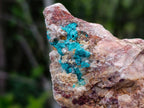 Natural Multi Mineral Specimens x 17 From Southern Africa - Toprock Gemstones and Minerals 