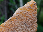 Natural Multi Mineral Specimens x 17 From Southern Africa - Toprock Gemstones and Minerals 