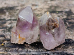 Natural Royal Zulu Window Amethyst Crystals x 70 from KwaZulu Natal, South Africa - Toprock Gemstones and Minerals 