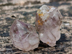 Natural Royal Zulu Window Amethyst Crystals x 70 from KwaZulu Natal, South Africa - Toprock Gemstones and Minerals 