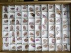 Natural Royal Zulu Window Amethyst Crystals x 70 from KwaZulu Natal, South Africa - Toprock Gemstones and Minerals 