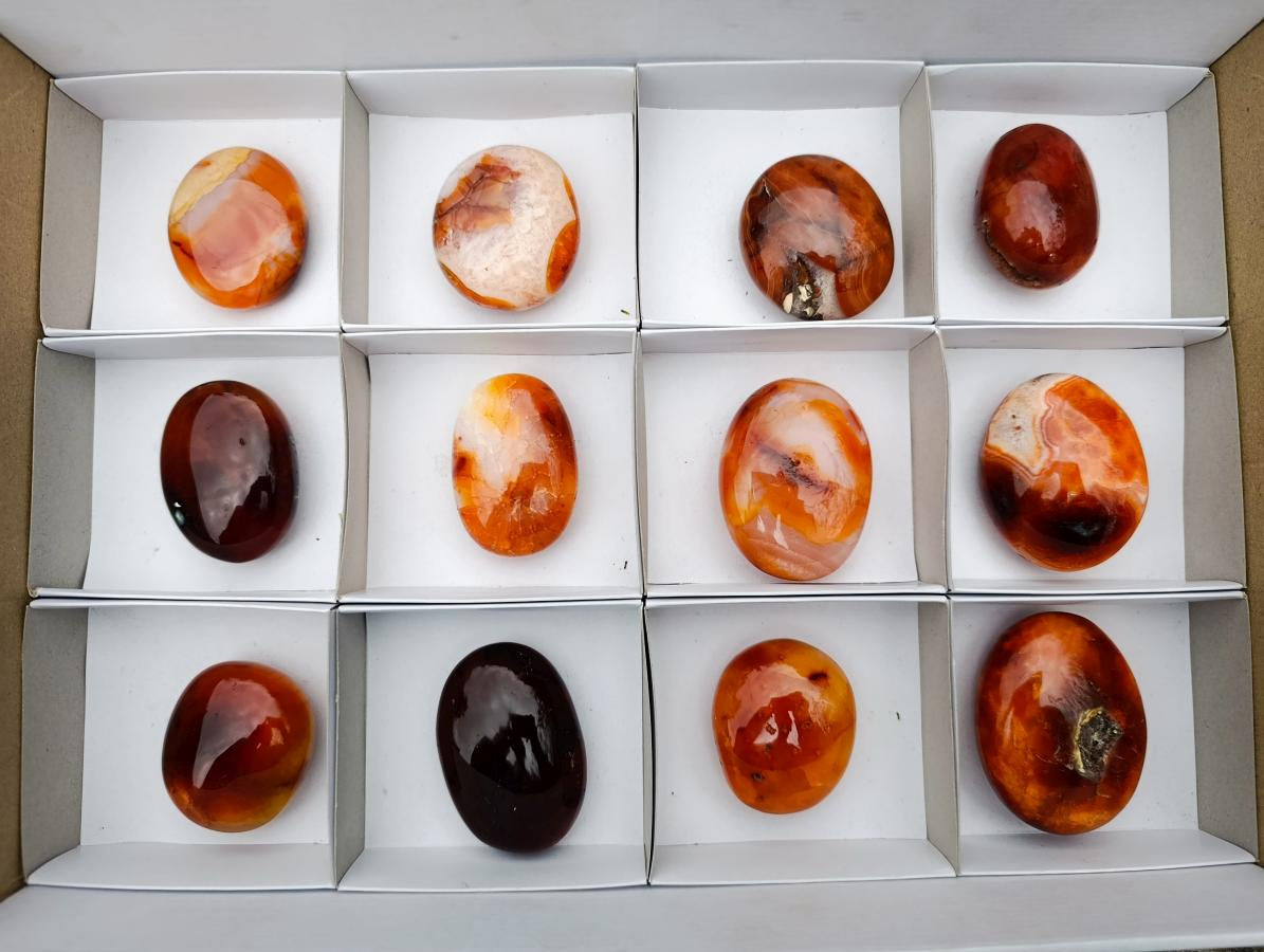 Polished Large Carnelian Agate Gemstone Galets x 12 From Madagascar - Toprock Gemstones and Minerals 