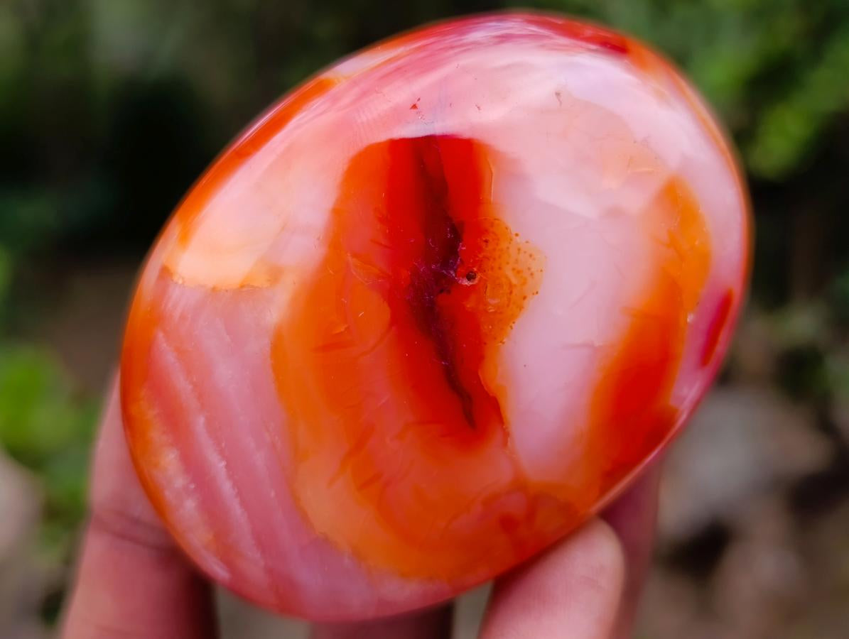 Polished Large Carnelian Agate Gemstone Galets x 12 From Madagascar - Toprock Gemstones and Minerals 