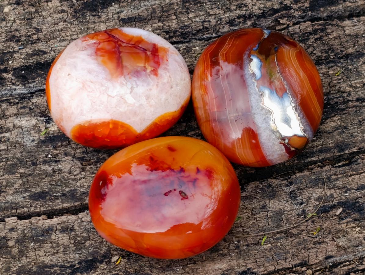 Polished Large Carnelian Agate Gemstone Galets x 12 From Madagascar - Toprock Gemstones and Minerals 
