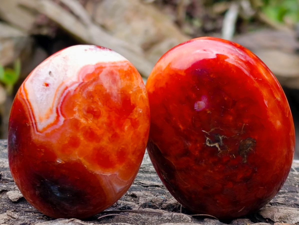 Polished Large Carnelian Agate Gemstone Galets x 12 From Madagascar - Toprock Gemstones and Minerals 