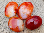 Polished Large Carnelian Agate Gemstone Galets x 12 From Madagascar - Toprock Gemstones and Minerals 